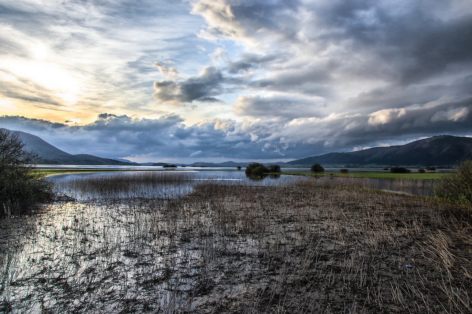 after the rain by Borut Zevnik