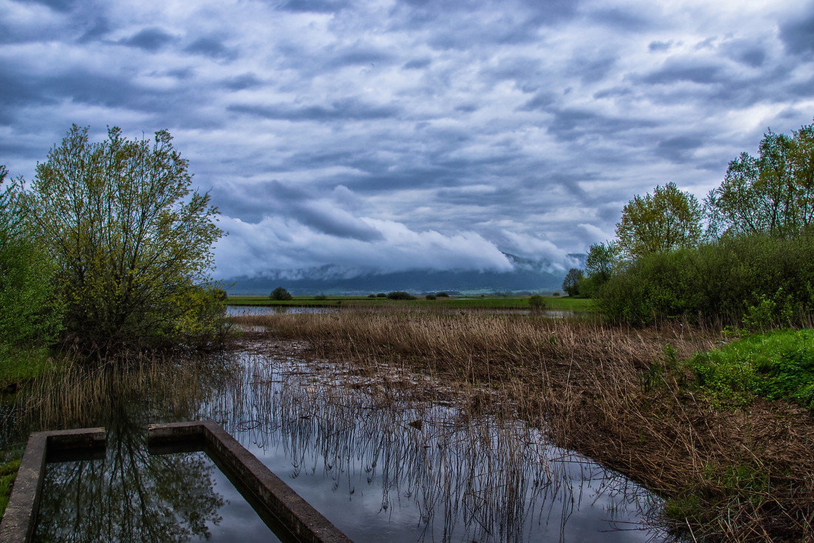 after the rain... by Borut Zevnik
