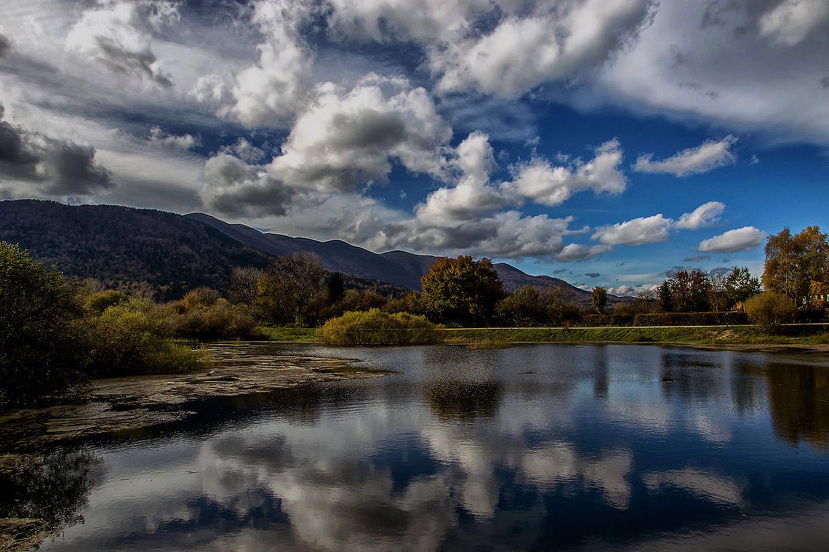 after the rain... by Borut Zevnik