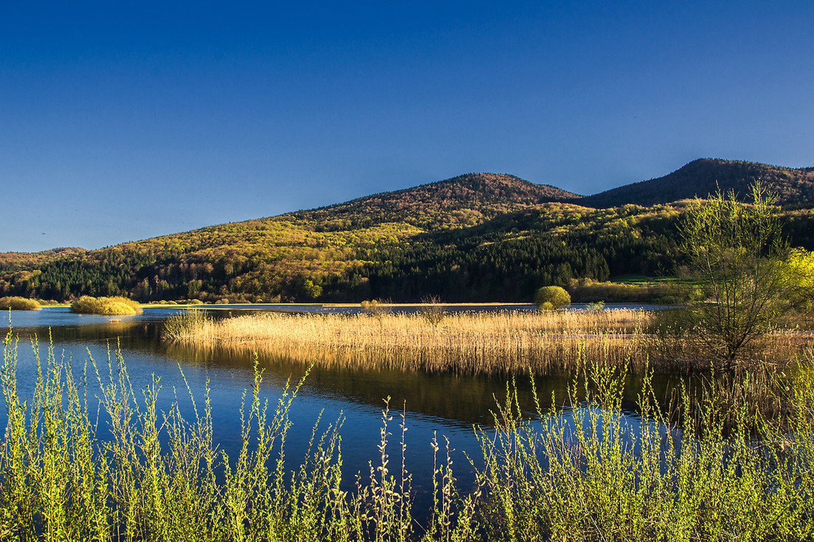 jezero by Borut Zevnik