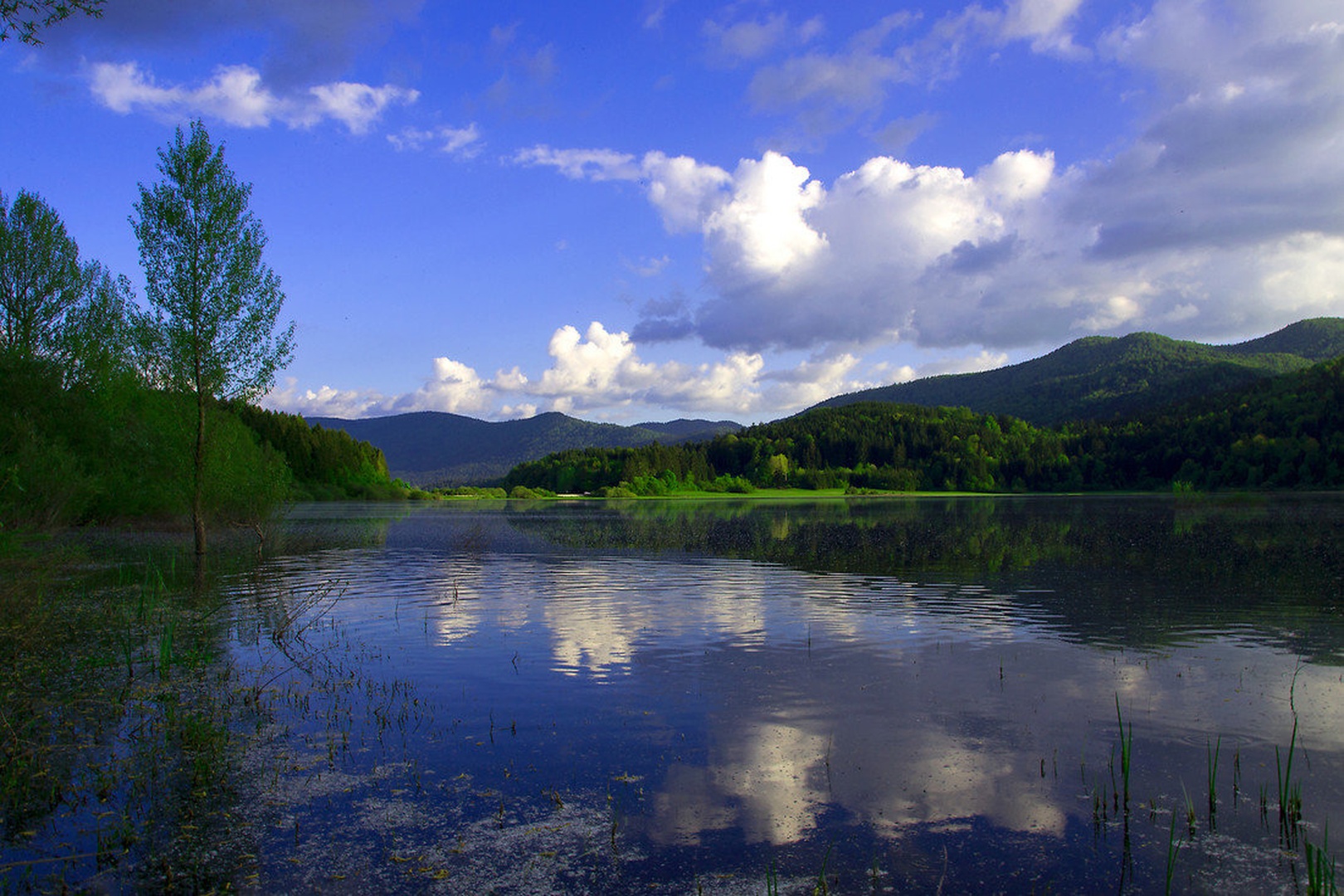 Cerkniško jezero by Borut Zevnik