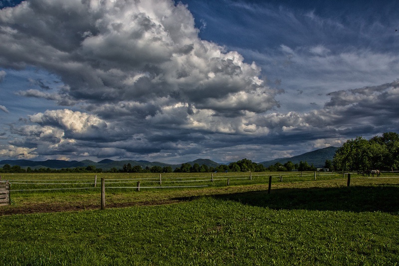 after the rain by Borut Zevnik