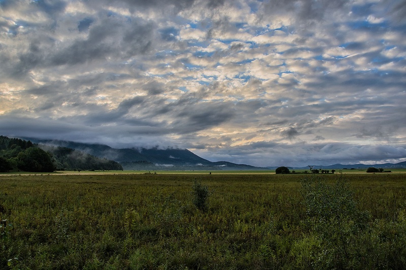 after the rain by Borut Zevnik
