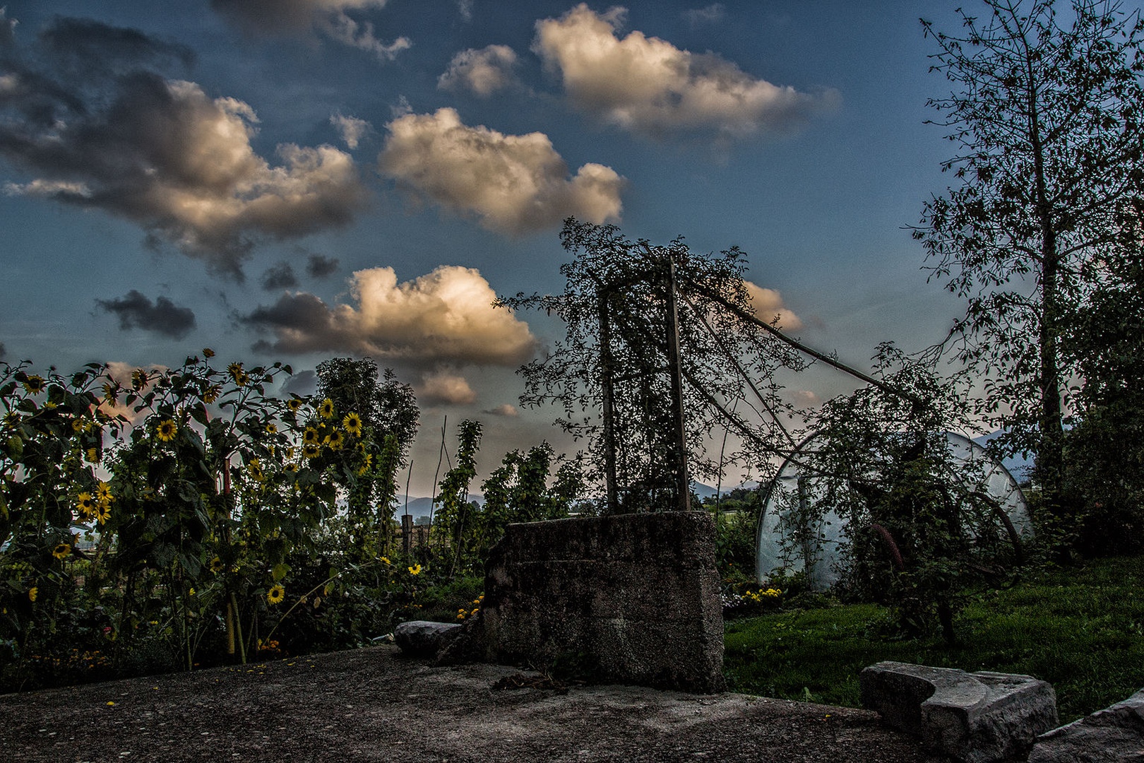 after the rain by Borut Zevnik