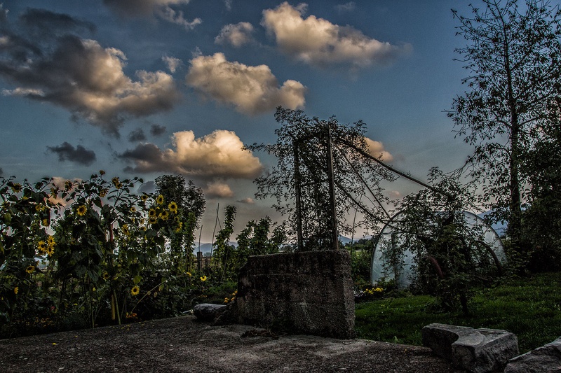 after the rain by Borut Zevnik