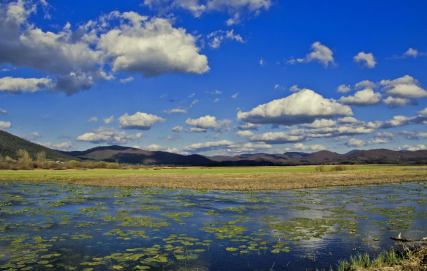 Cerkniško jezero by Borut Zevnik