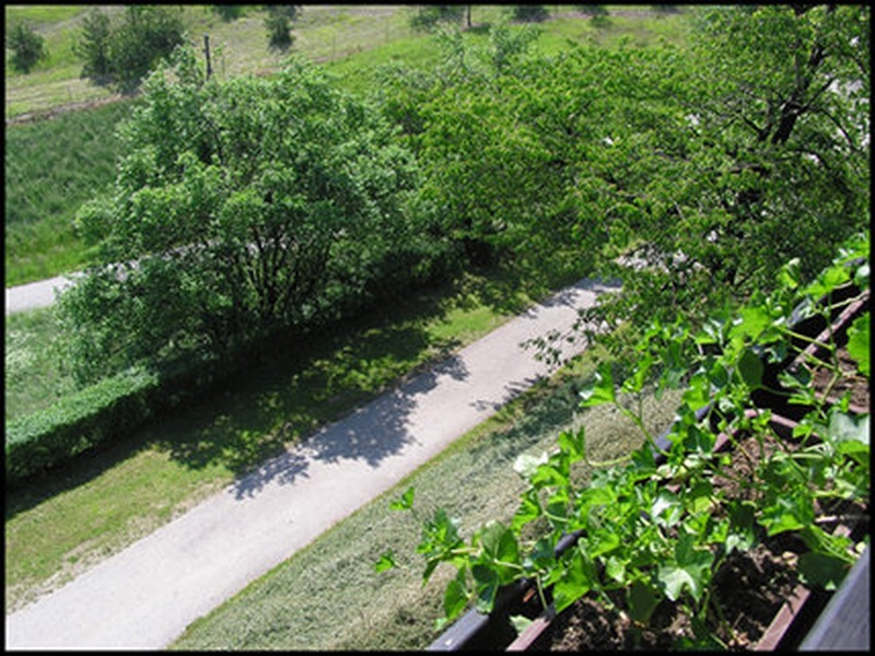 Pogled iz balkona by Coinbird