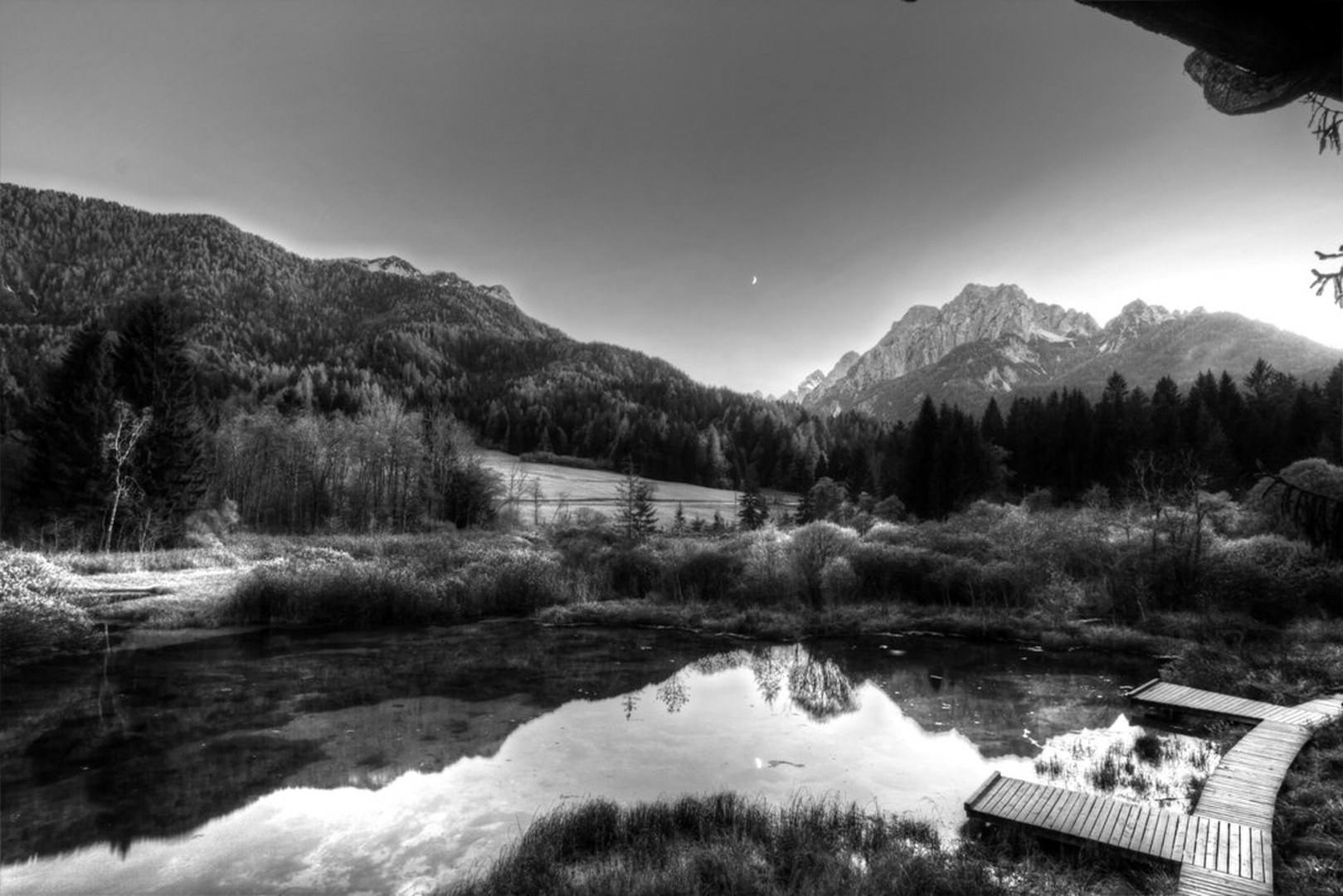 Zelenci zvečer by Miha Piščanec