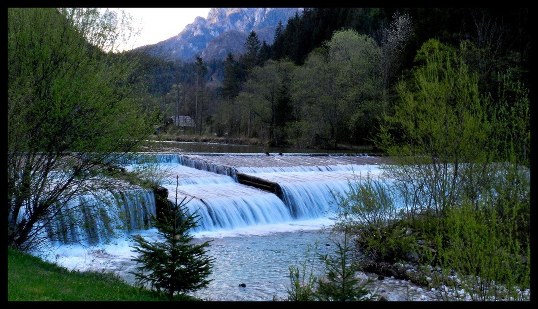 Savinija by