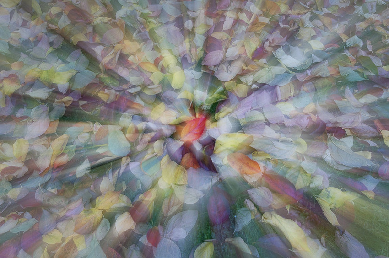 Jesenski boom II by Anita