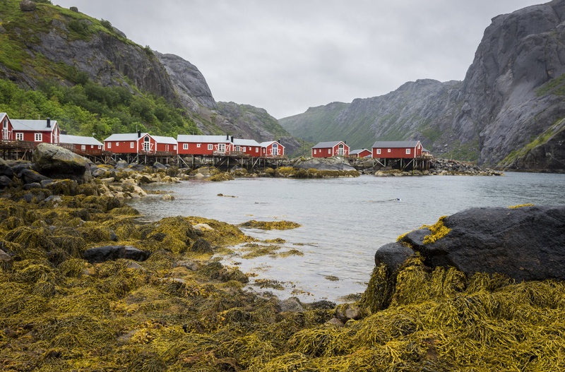 Nusfjord v dežju by Anita