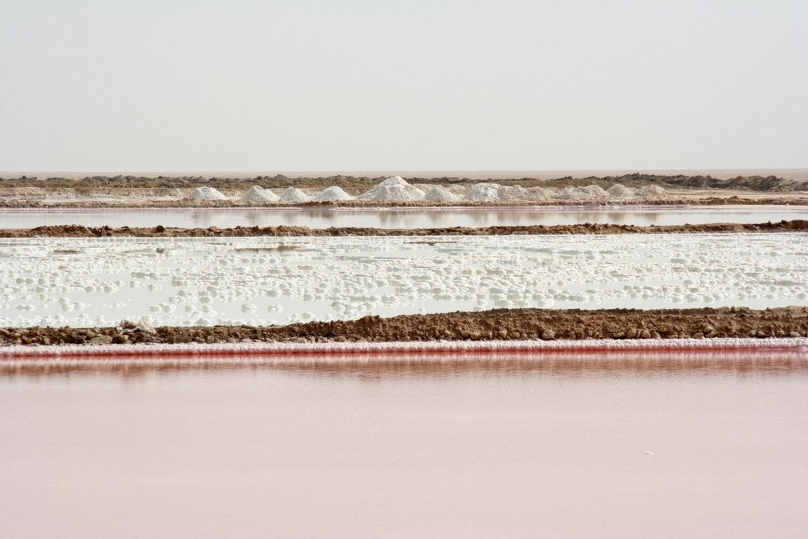 Chott el Jerid by Anita