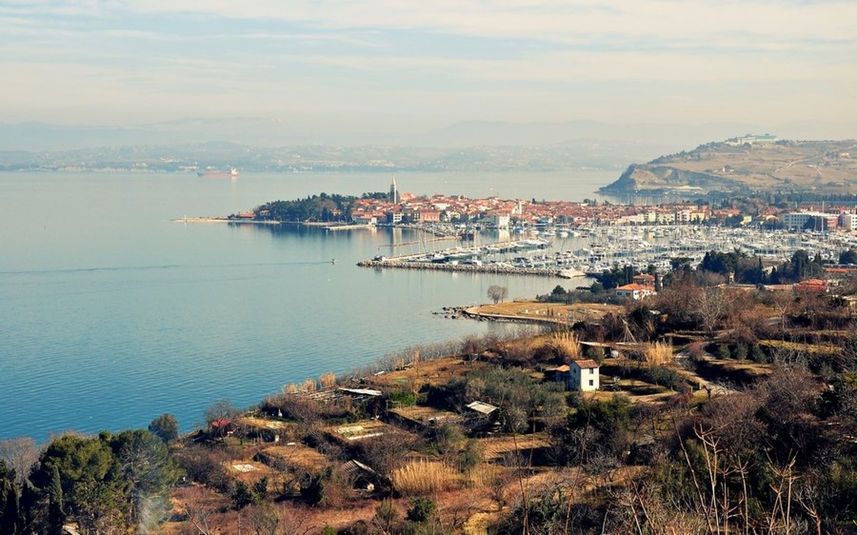 Izola by Anita