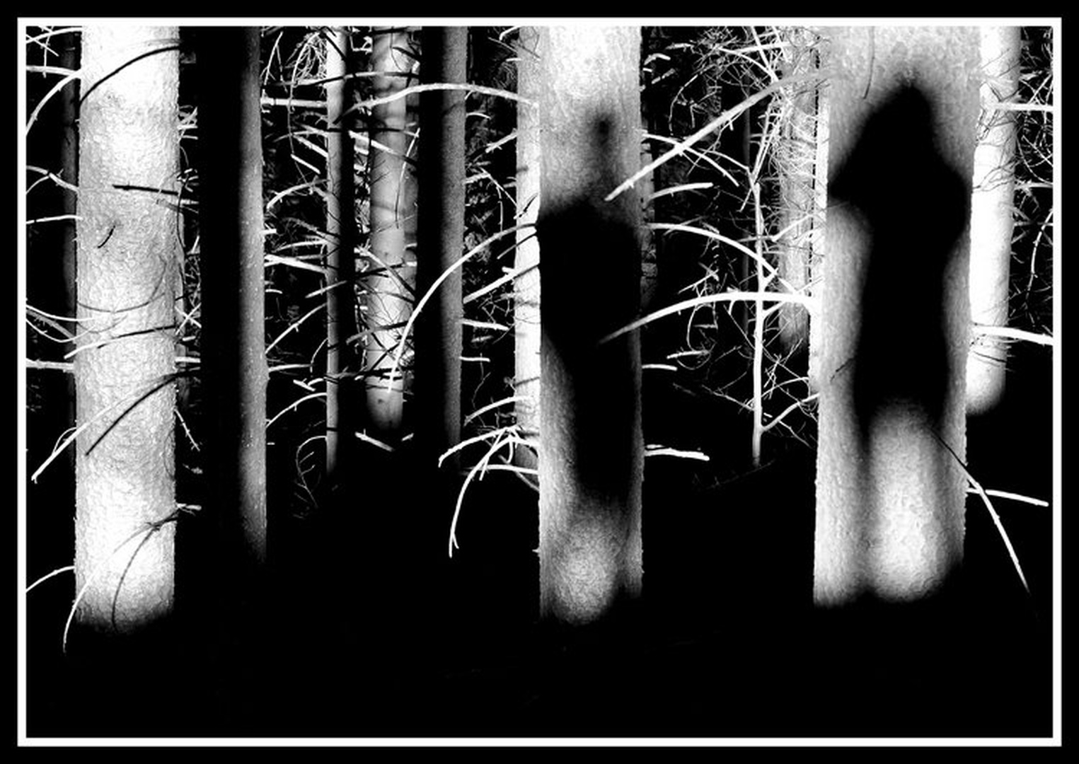 Igra senc by Anita