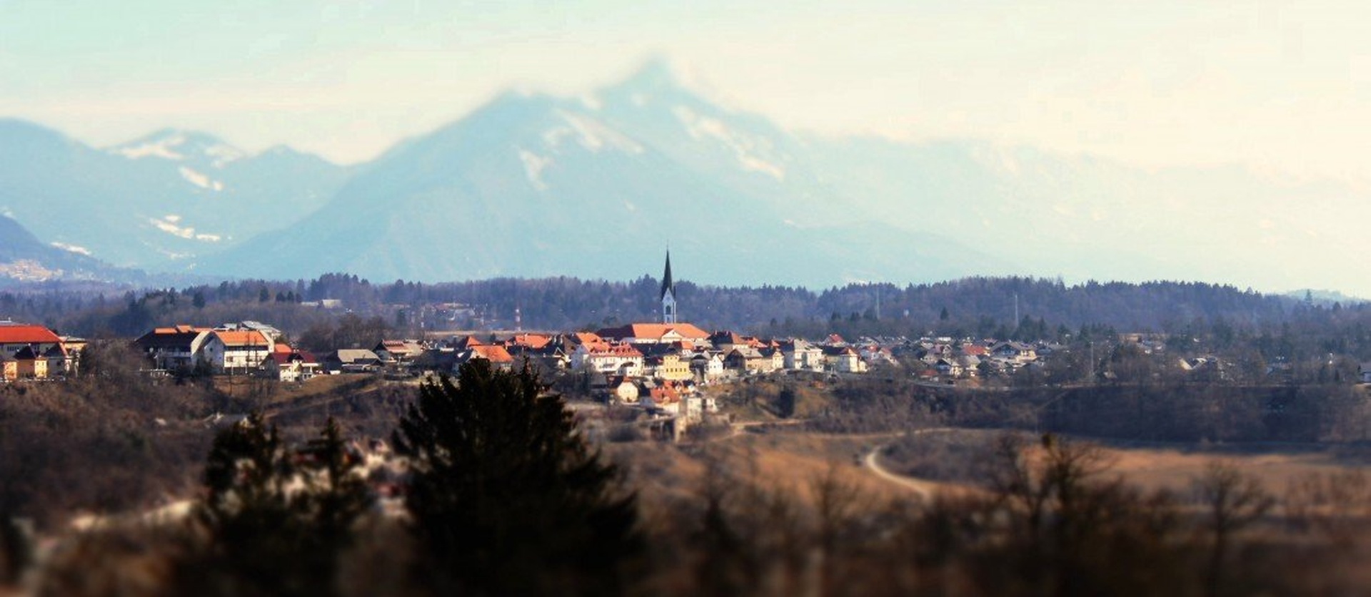 "Spomladanska" Radol´ca by