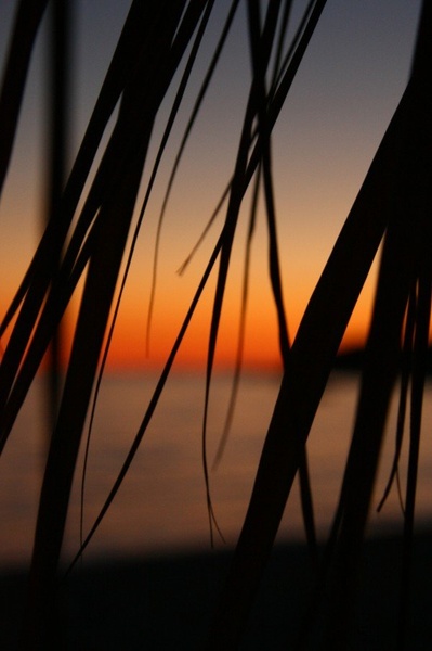 plaža by sebastijan kavčič
