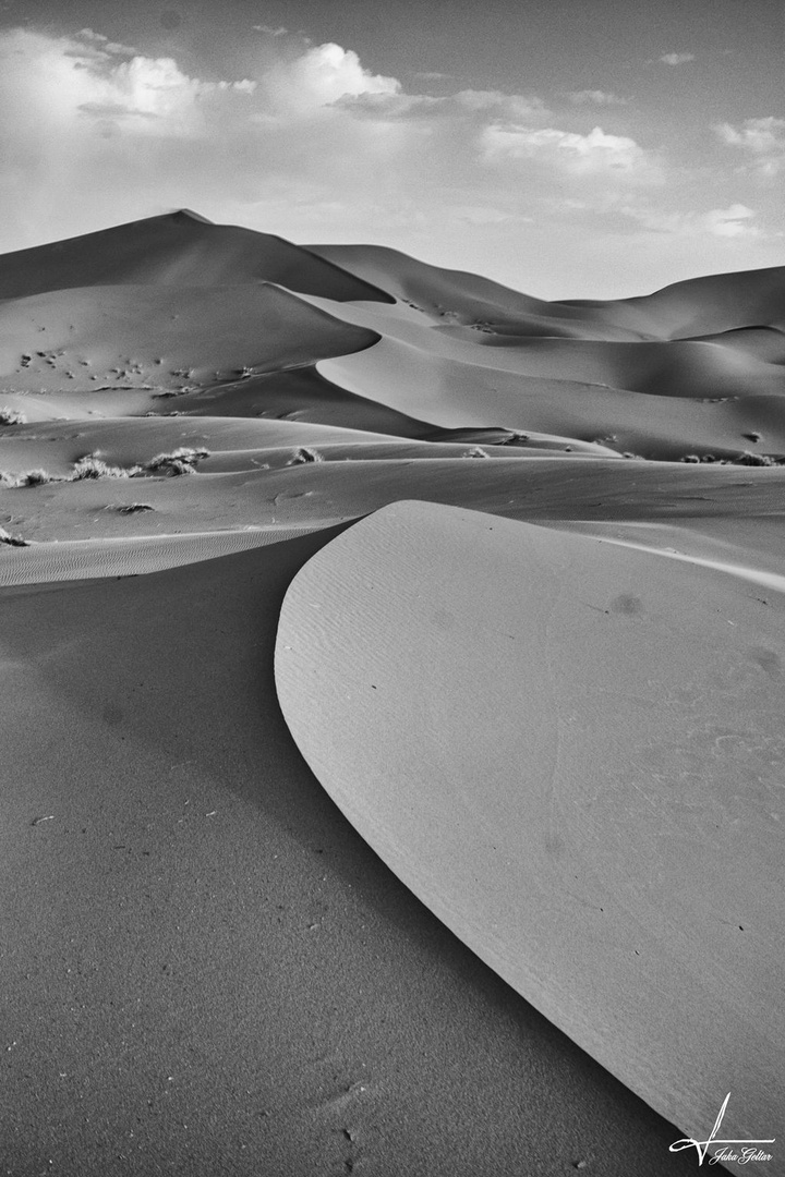 Durch die Sahara by Jaka Geltar