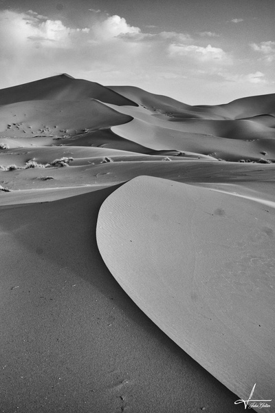 Durch die Sahara by Jaka Geltar
