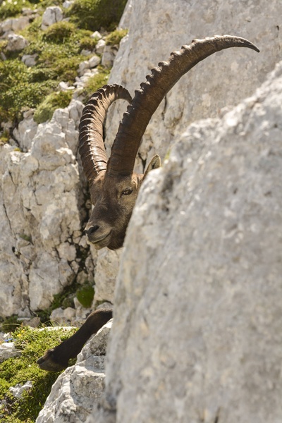 Mogočen, a umirjen by Jaka Geltar