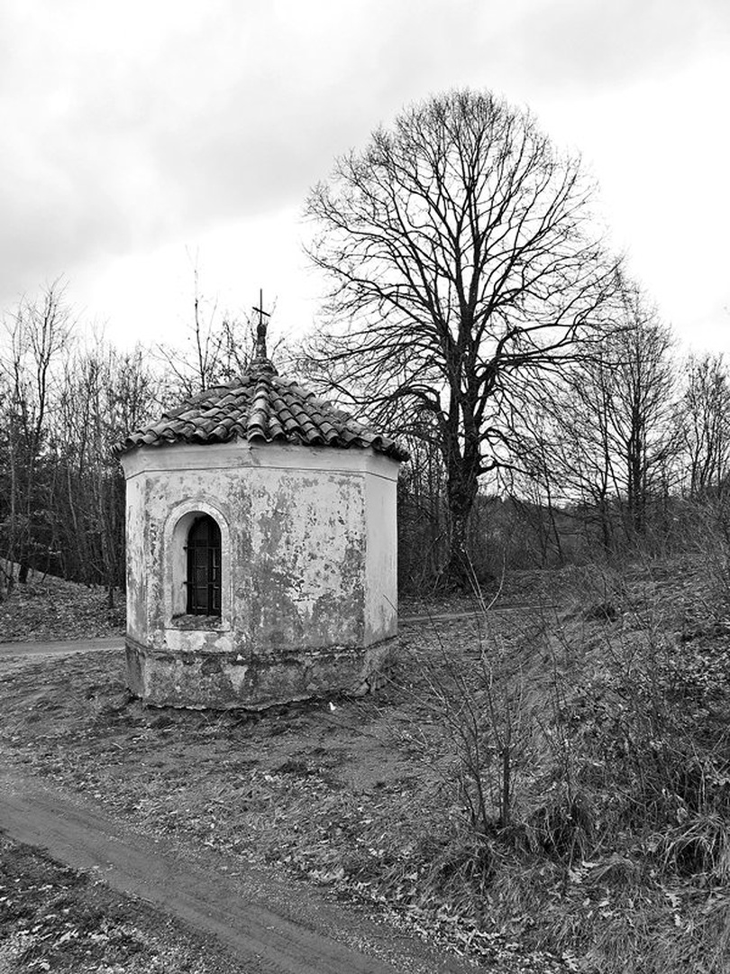 Ob poti II by Damjan