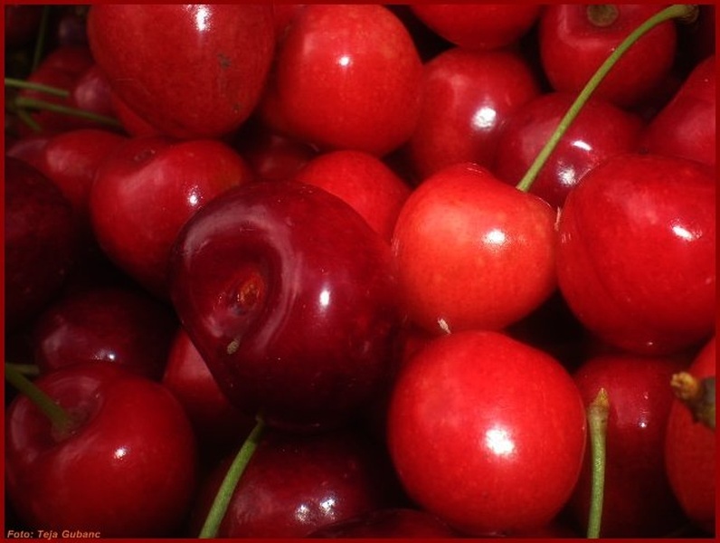 Cherry by Teja Gubanc