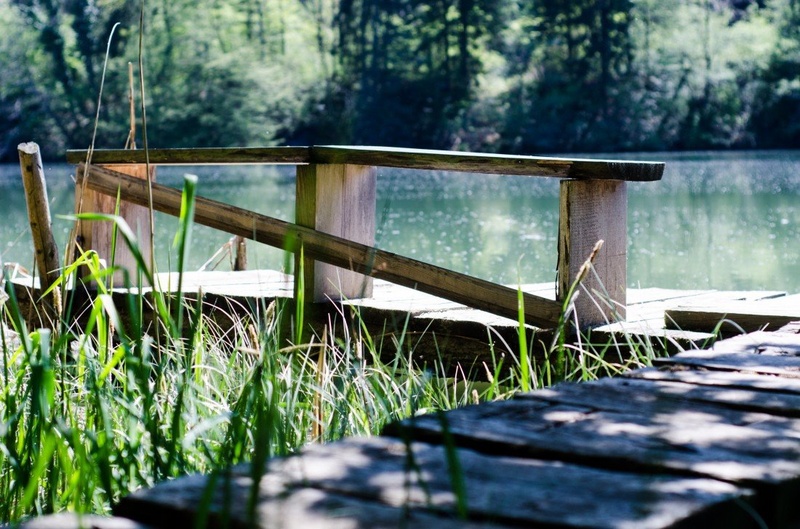 Iz sence by photodoc