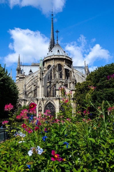 Rožast Notre Dame de Paris by photodoc