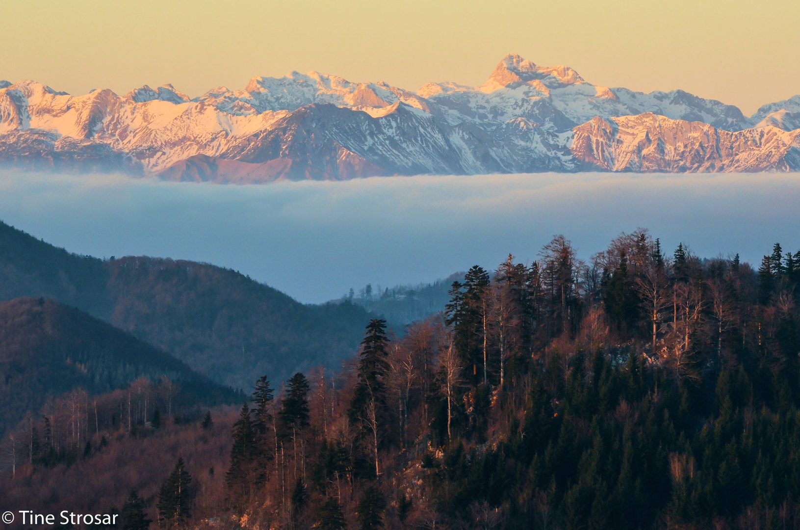 Pogled na Alpe iz Trnovskega gozda by Tine Strosar