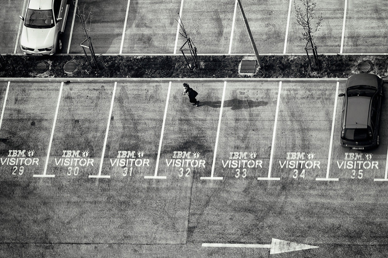 Visitor by aleksander kavčnik