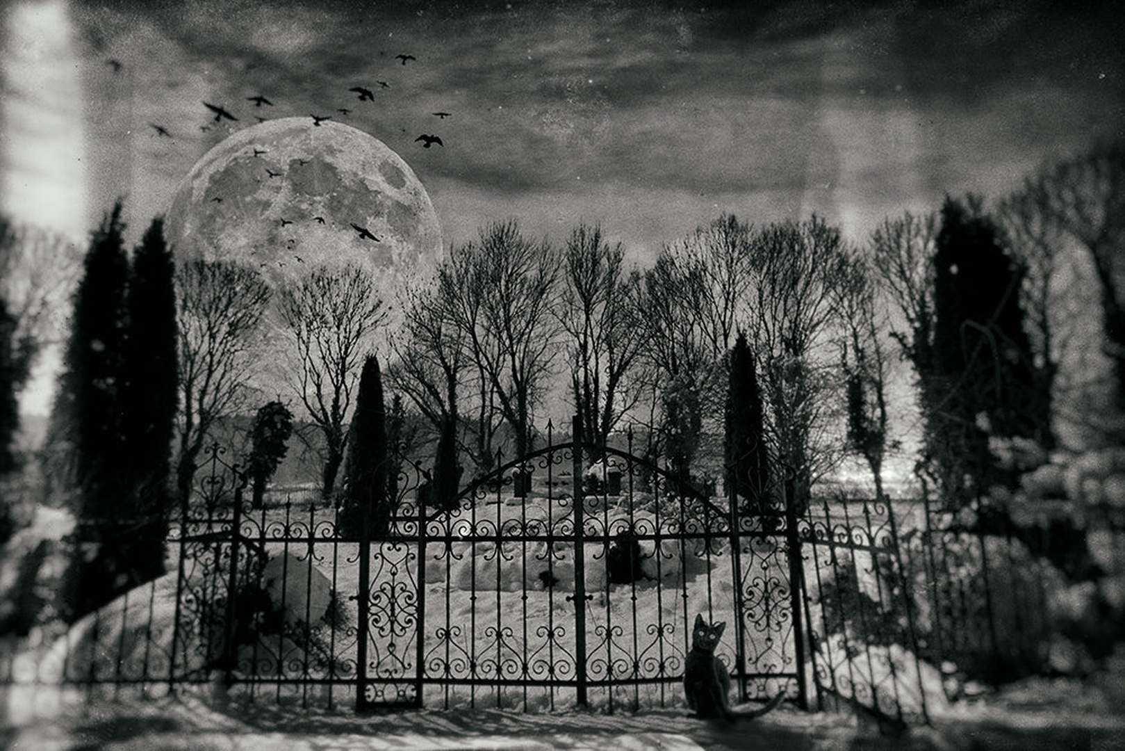 full moon by aleksander kavčnik