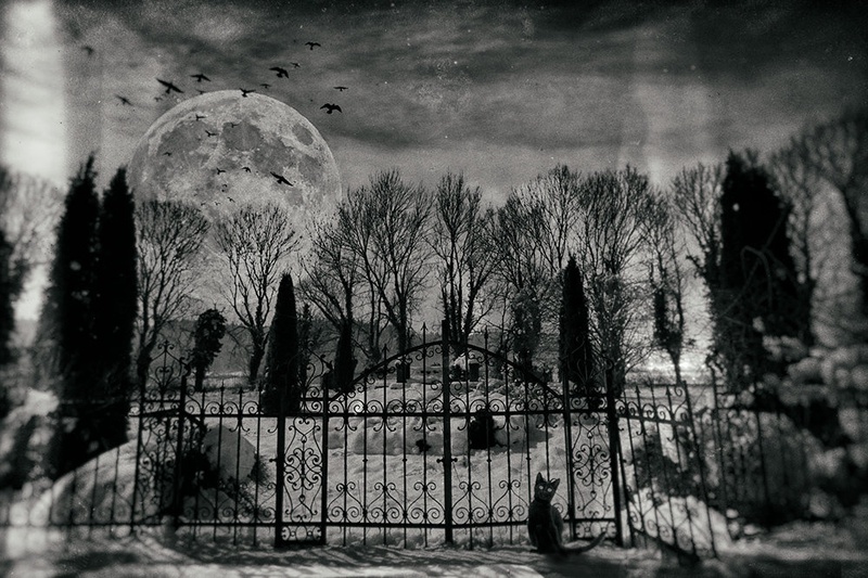 full moon by aleksander kavčnik