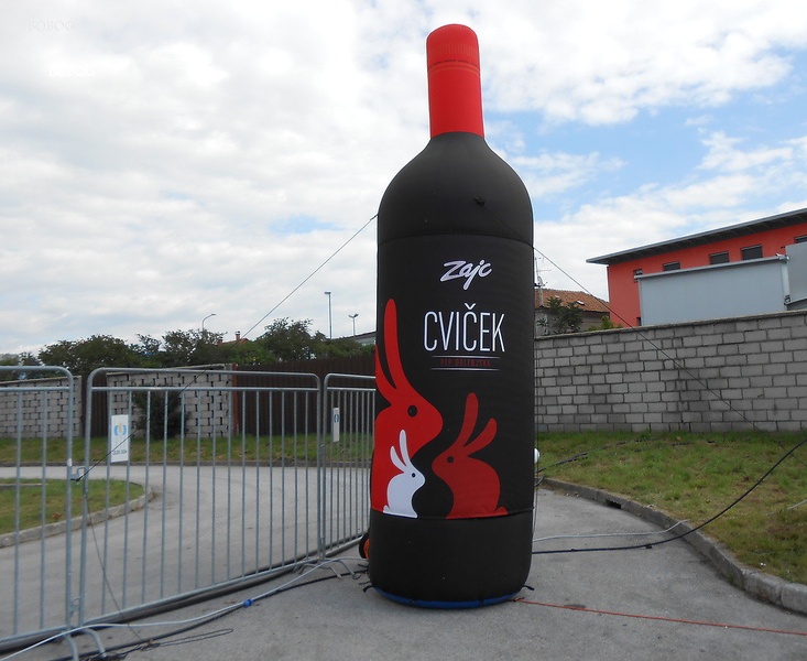 Vino, ki no vino. by borut g