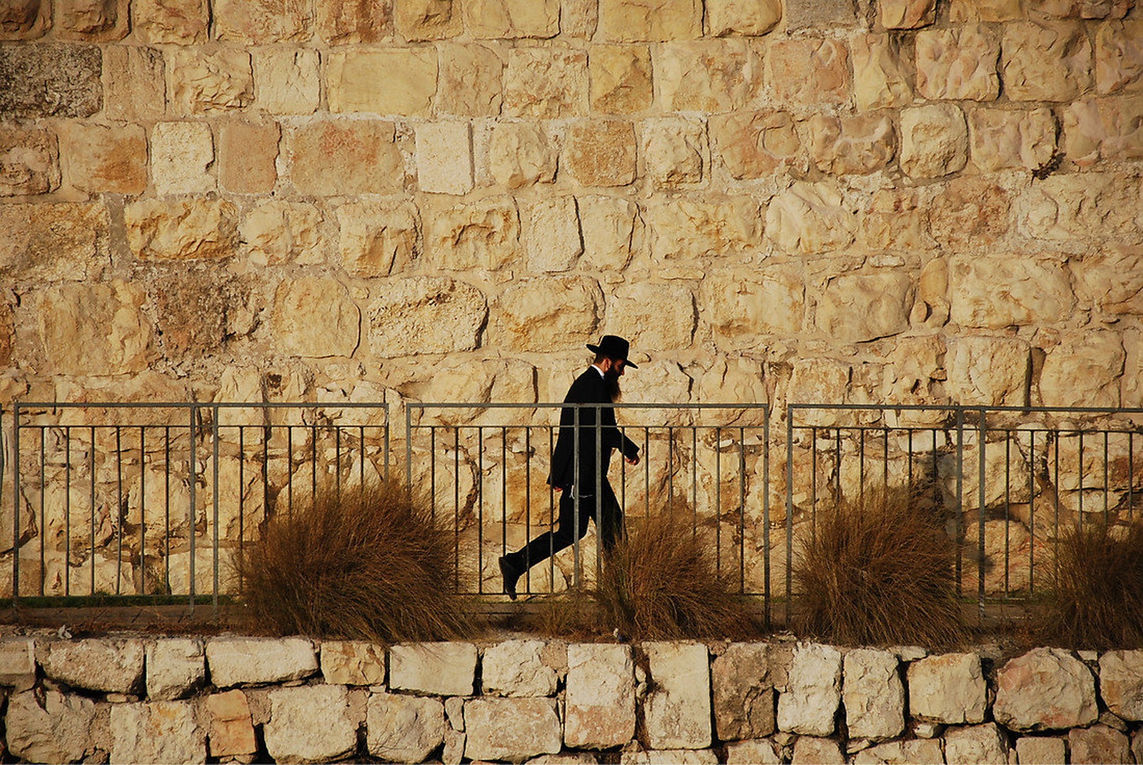 Hoja ob jeruzalemskem zidu. by borut g