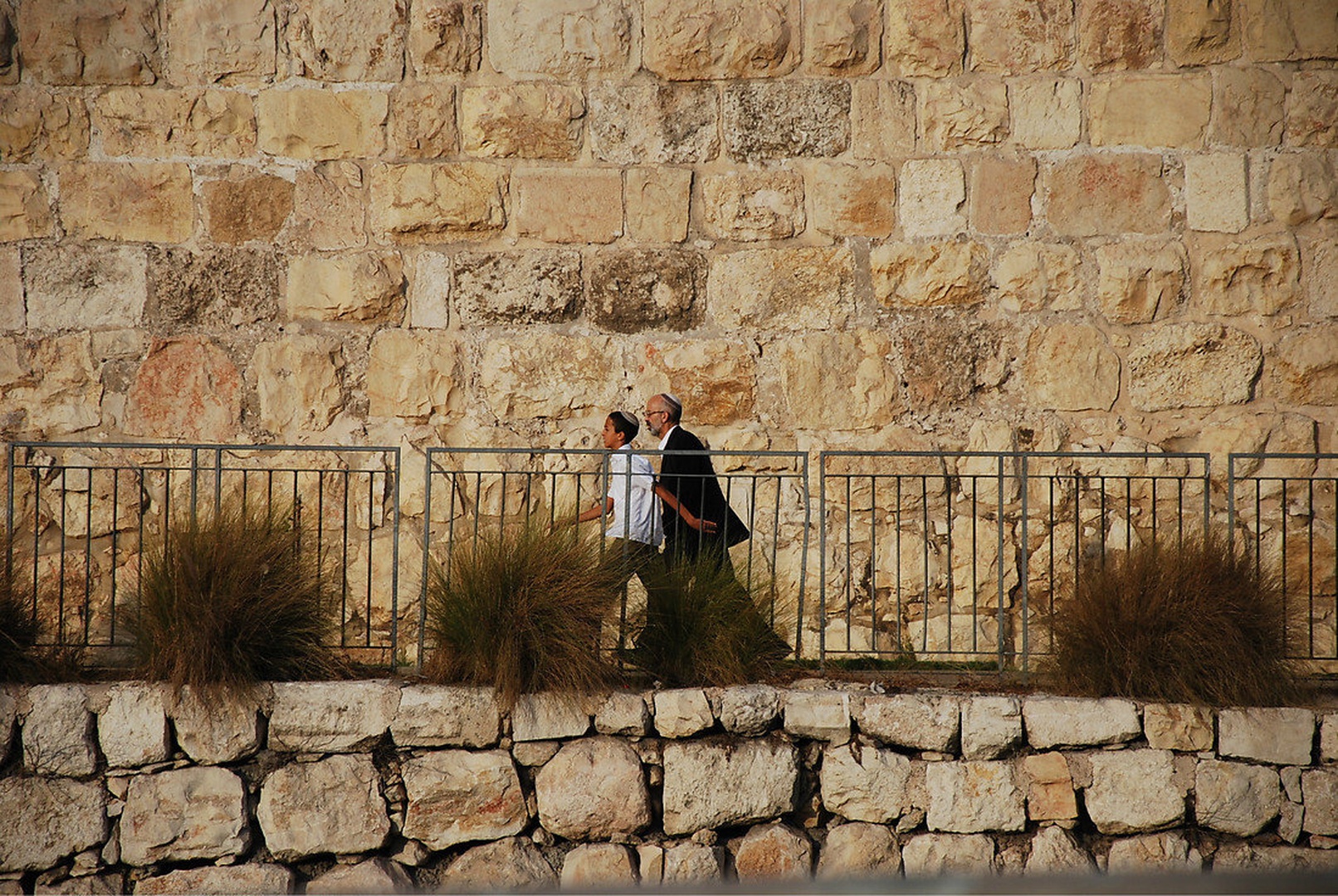 Hoja ob jeruzalemskem zidu 5. by borut g