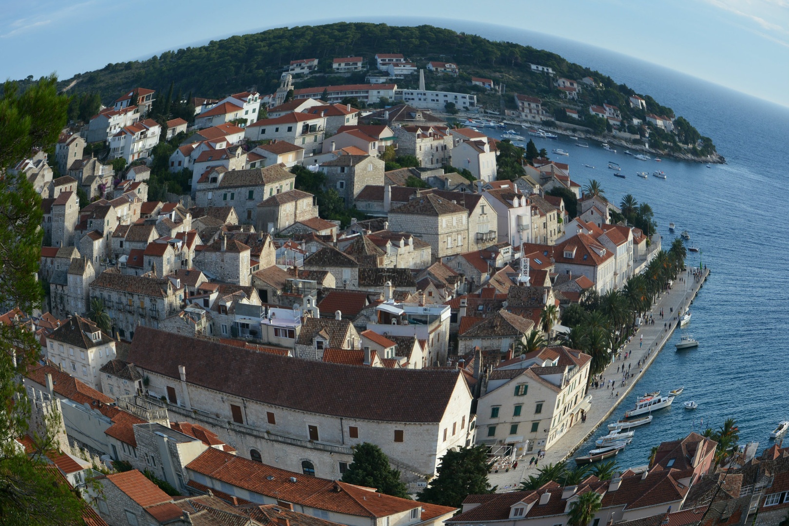 Hvar. by borut g