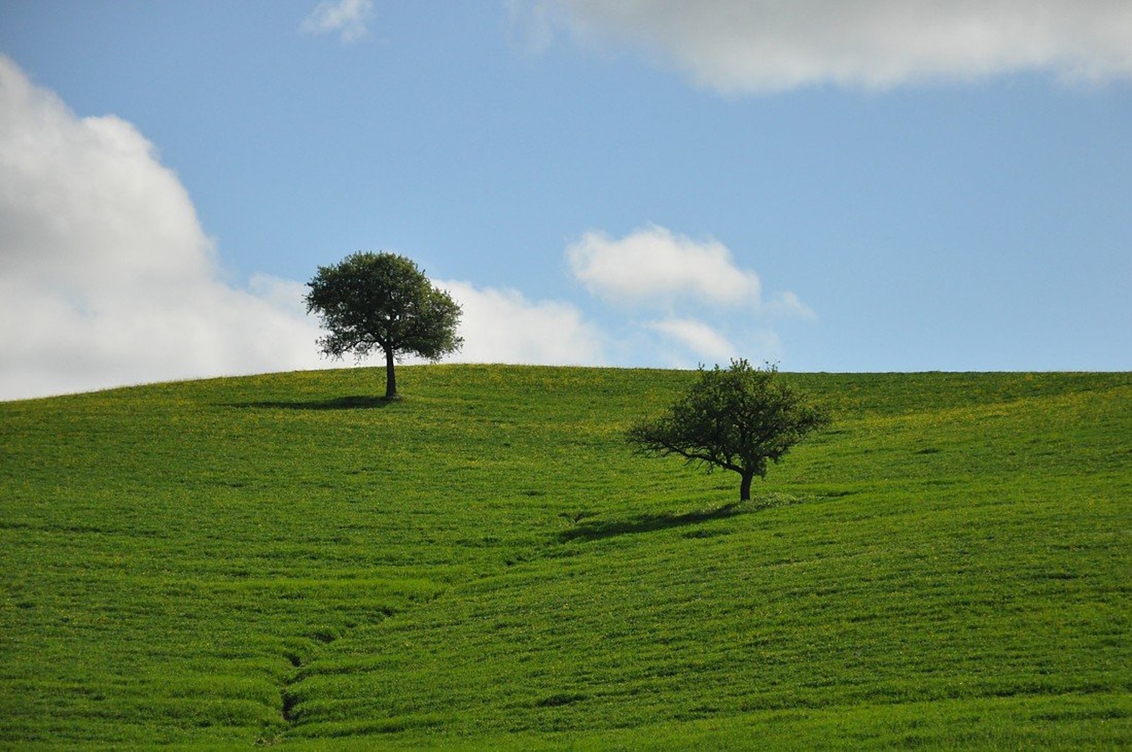 Toscana by Matej Vrečar