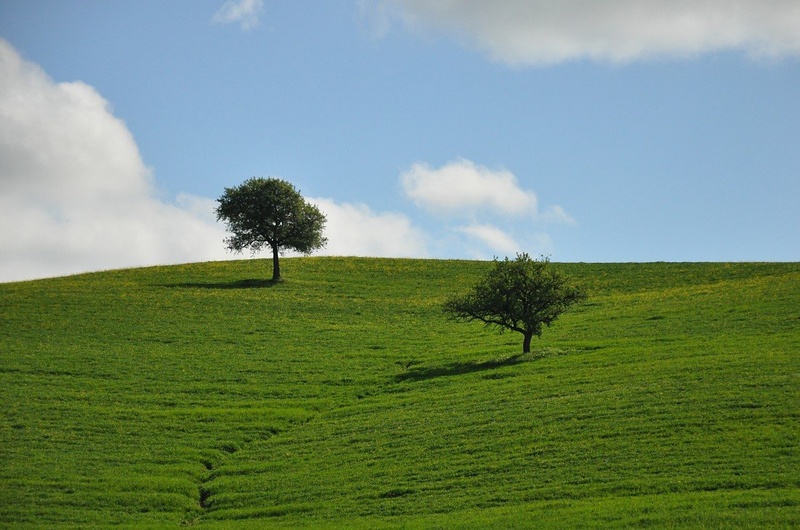 Toscana by Matej Vrečar