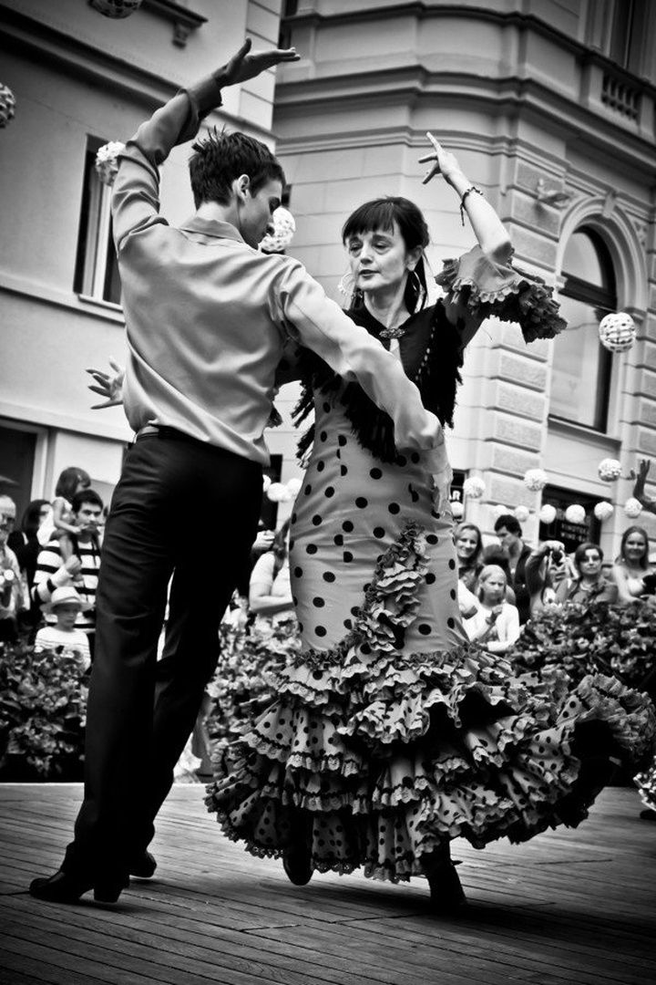 PLESALCA FLAMENKA by Branko Teršek