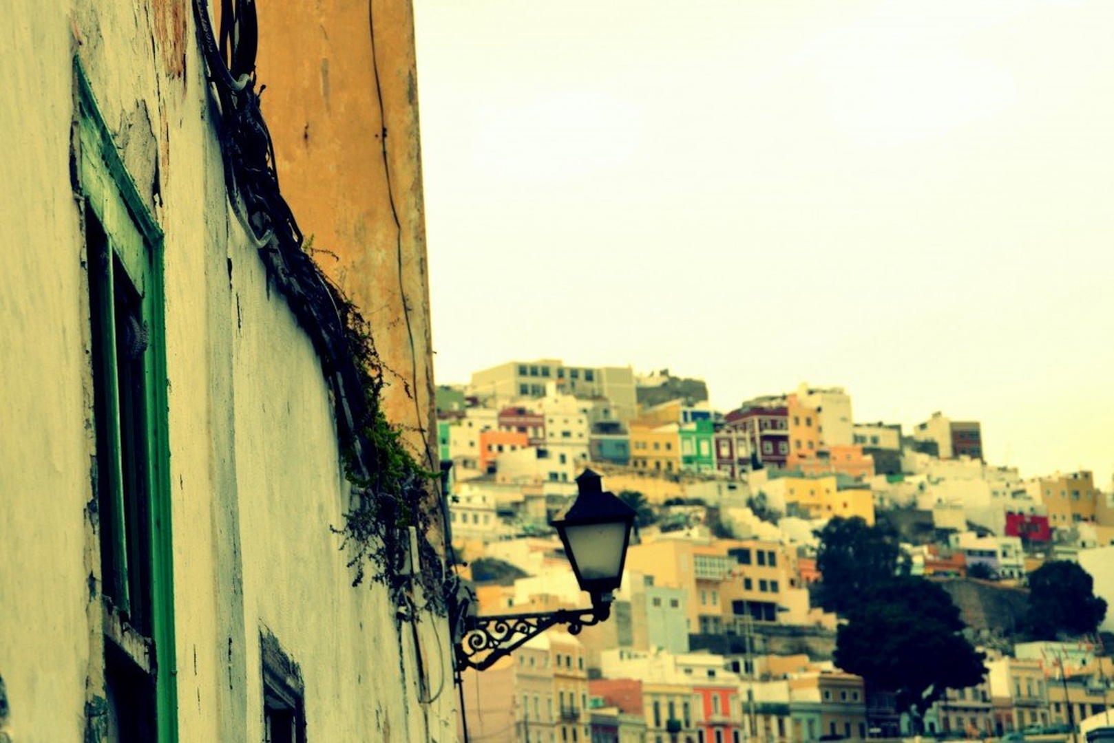 Las Palmas by Nastja!