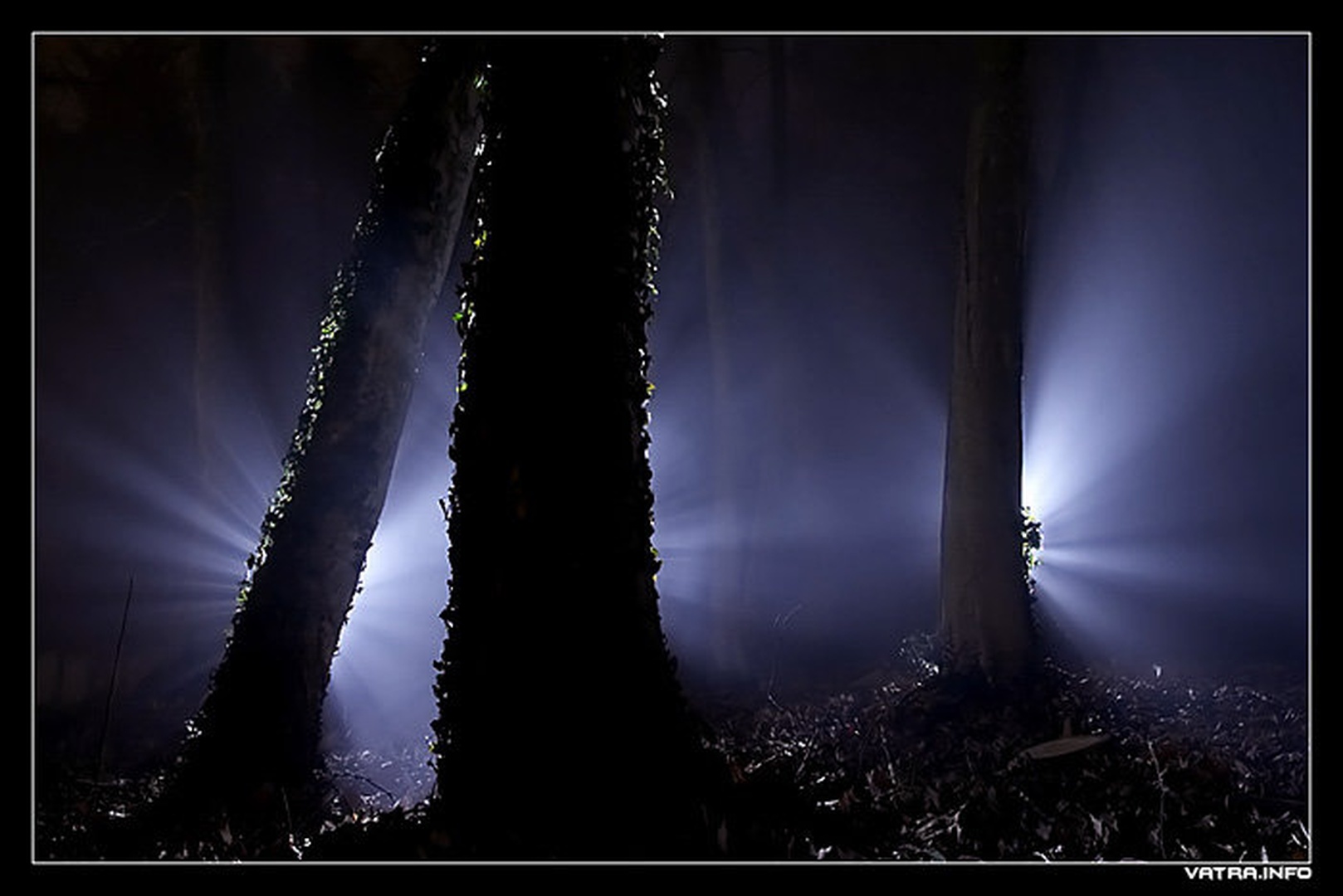 Dark Side by