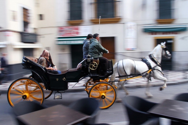 City tour. One horse power. by Gregor Pavsic