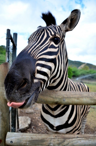 What are you looking at? by Jasna
