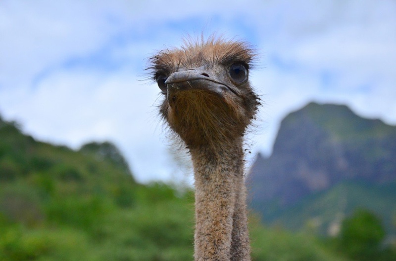 The look by Jasna