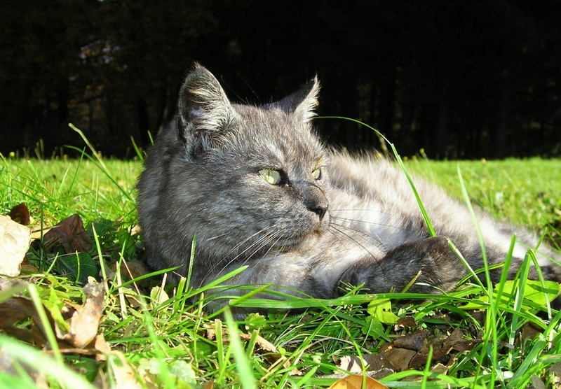 Mimi by Jasna