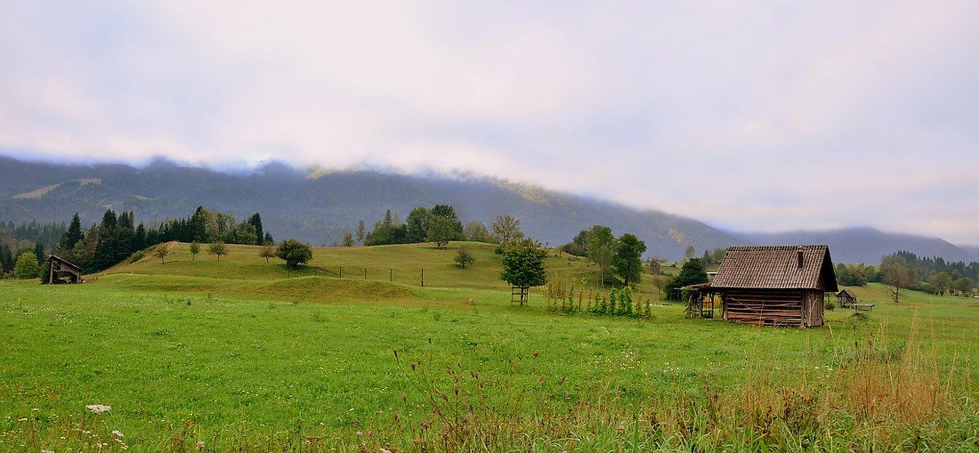 Zgodnja ura by Jasna