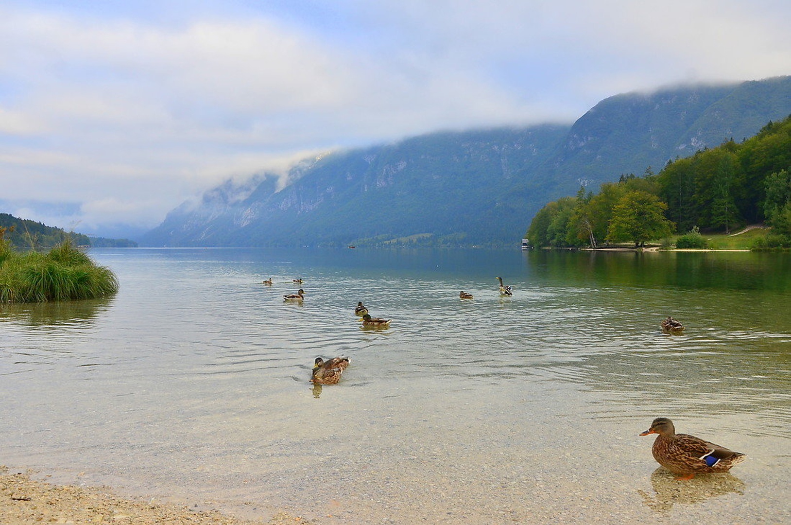 Bohinjsko jezero by Jasna