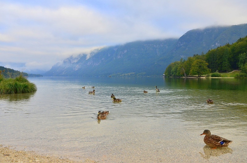 Bohinjsko jezero by Jasna