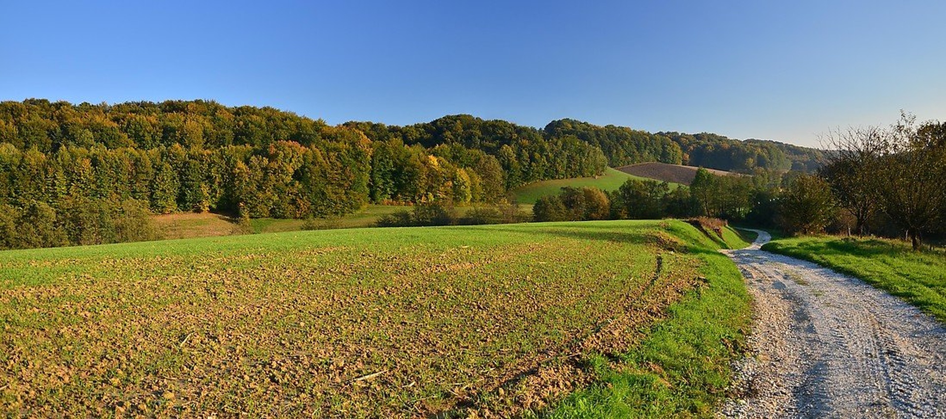 Jesenska idila by Jasna