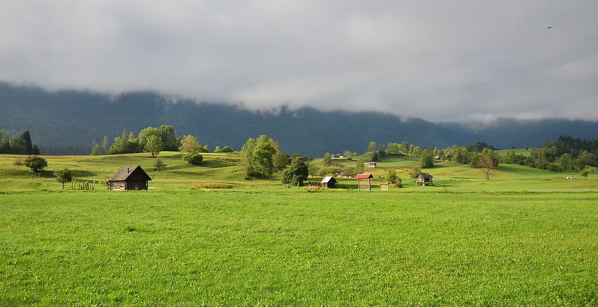 Zelena Slovenija by Jasna