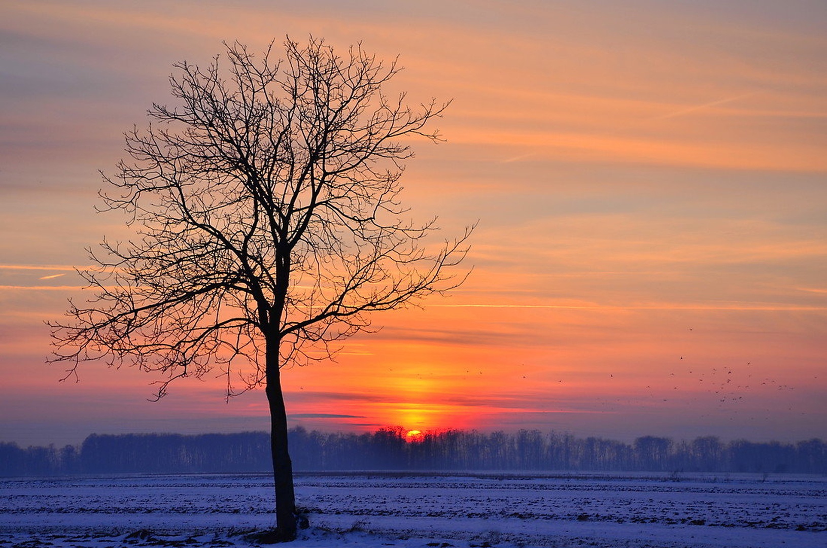 Winter spirit by Jasna